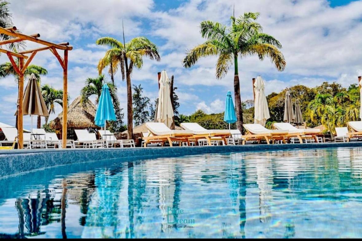 La Ruche De Maia - Blue Dream Beach - Piscine - Jardin - Plage Grand-Bourg  Exterior foto
