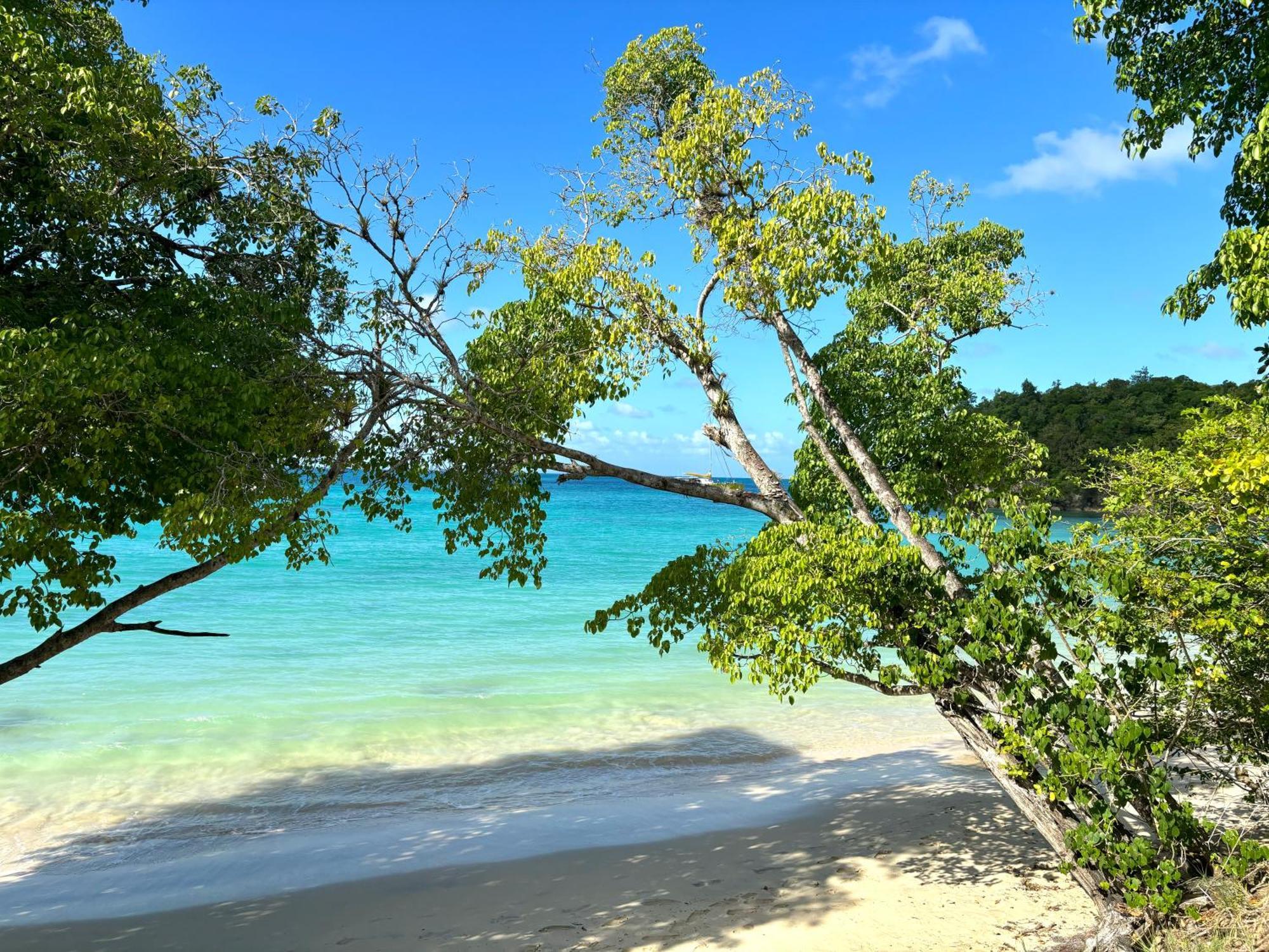 La Ruche De Maia - Blue Dream Beach - Piscine - Jardin - Plage Grand-Bourg  Exterior foto