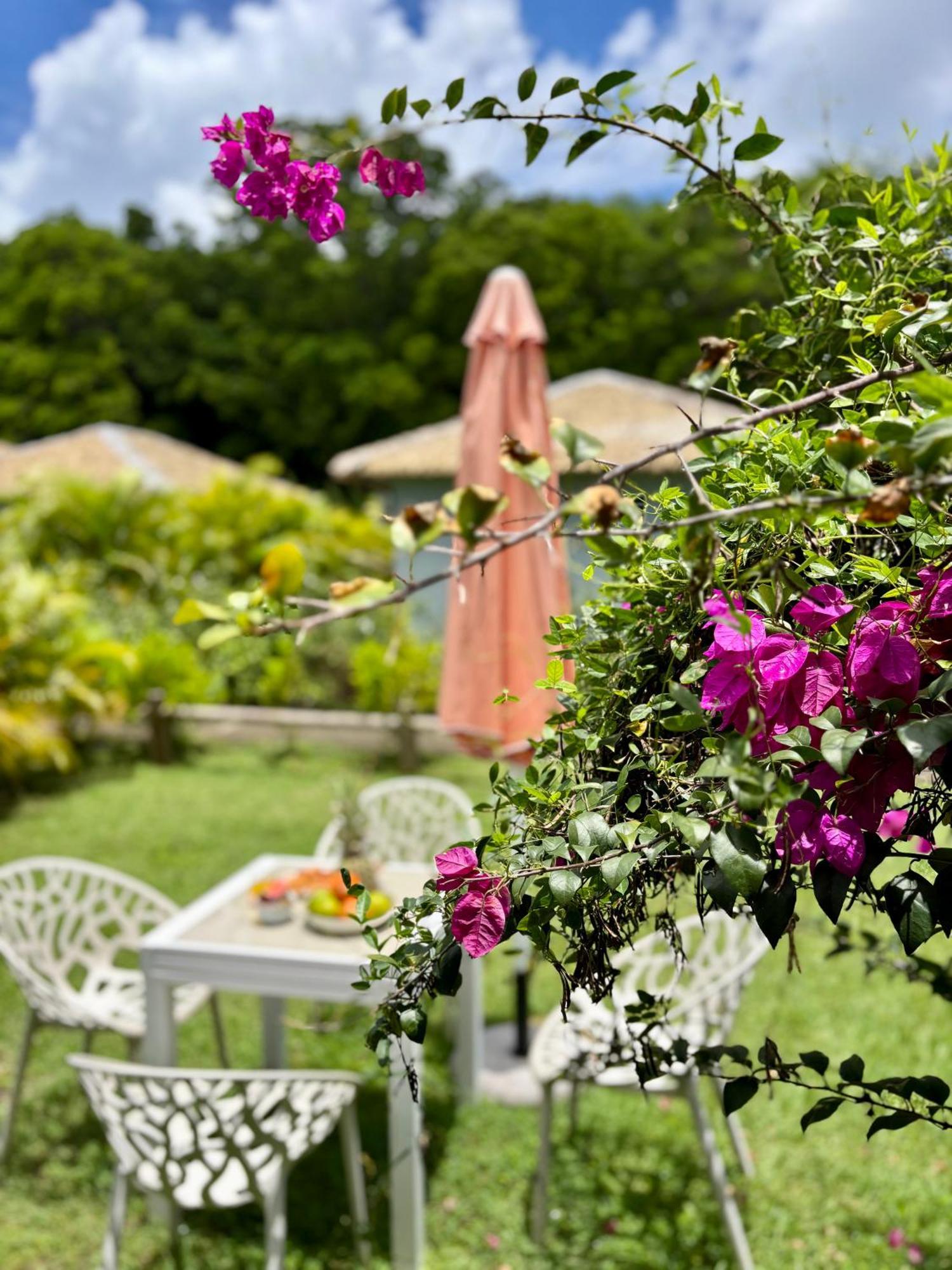 La Ruche De Maia - Blue Dream Beach - Piscine - Jardin - Plage Grand-Bourg  Exterior foto